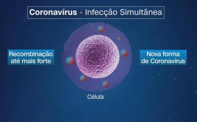 coinfeccao de coronavirus pode gerar um terceiro tipo mais forte Contágio por dois tipos de coronavírus pode criar um terceiro, dizem pesquisadores