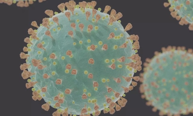 Coronavirus SARS CoV 2 1140x570 1 Número de novos casos da covid-19 cai 7% em uma semana
