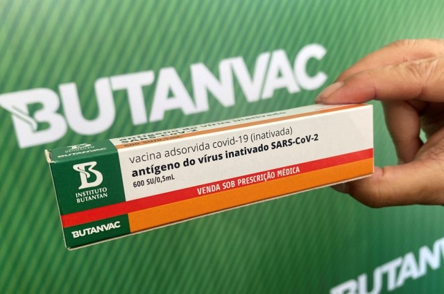 vacina butanvac Resposta imune da Butanvac tende a ser mais intensa, diz Paulo Menezes