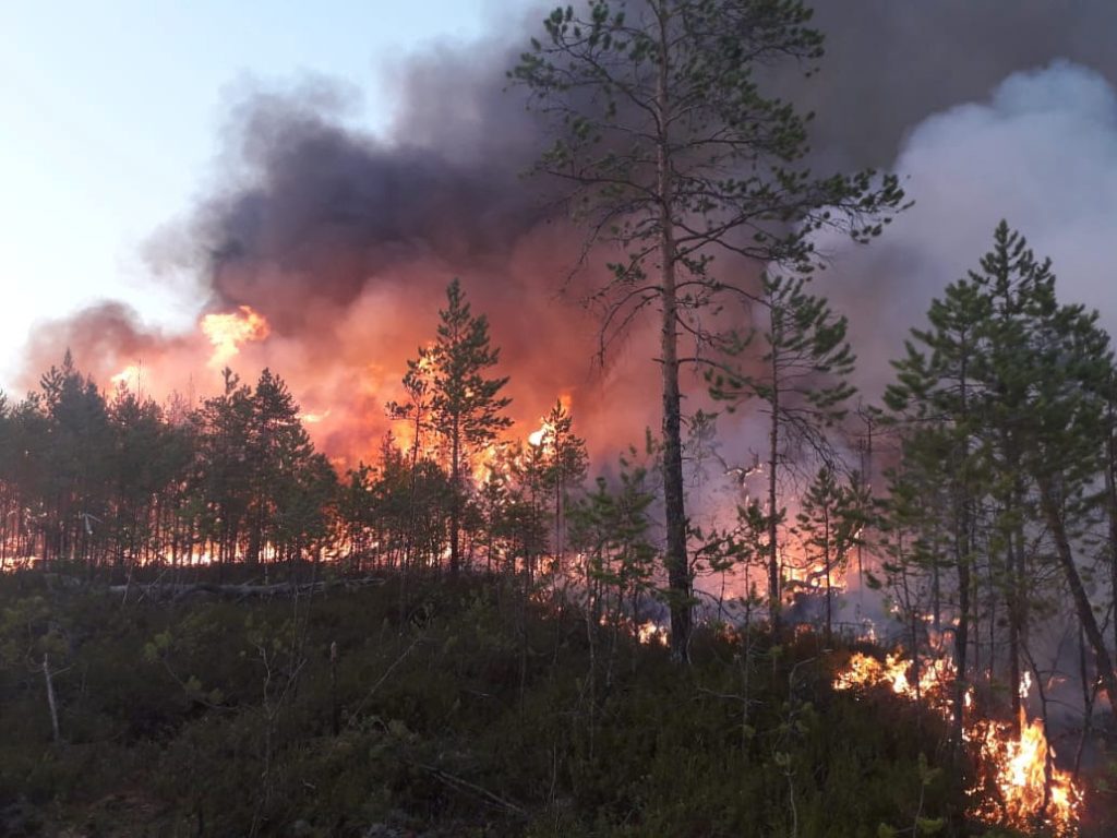 Incêndios na Sibéria são mais fortes que todos os outros incêndios do mundo somados