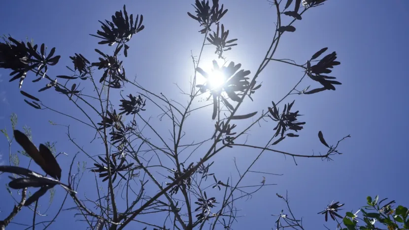 Brasil terá nova onda de calor neste final de semana