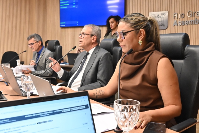 ComissÃ£o de EducaÃ§Ã£o aprova projetos de valorizaÃ§Ã£o cultural e educacional